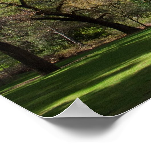 Poster Ahwahnee (Coin)