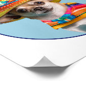 Poster Ai-Je Entendu Cinco De Mayo Sombrero Chihuahua (Coin)
