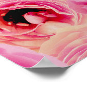 Poster Aïd Moubarak Rose de la Mosquée d'Or Blossom Purpl (Coin)