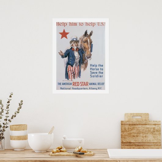 Poster Aidez-le à aider les États-Unis ! (Cuisine)