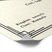 Poster Aidi Zoology Series (Coin)