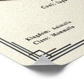 Poster Aidi Zoology Series (Coin)