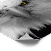 Poster aigle (Coin)