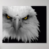 Poster aigle (Devant)