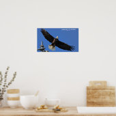 Poster Aigle (Cuisine)