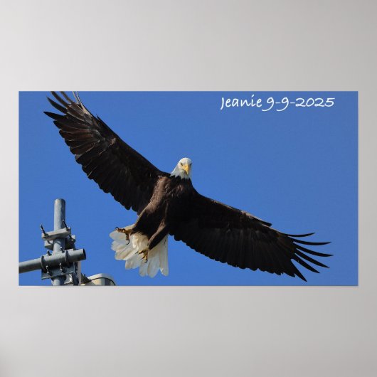Poster Aigle (Devant)