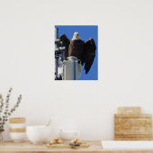 Poster Aigle (Cuisine)