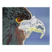 POSTER AIGLE (Devant)