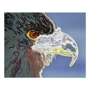 POSTER AIGLE