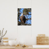 Poster Aigle (Cuisine)