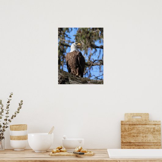 Poster Aigle (Cuisine)