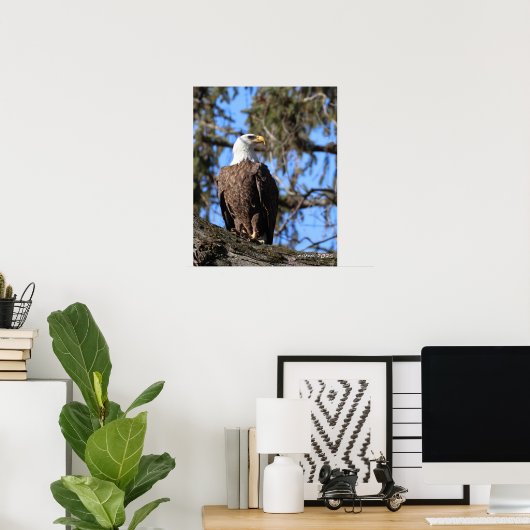 Poster Aigle (Bureau à domicile)