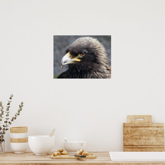 POSTER AIGLE (Cuisine)