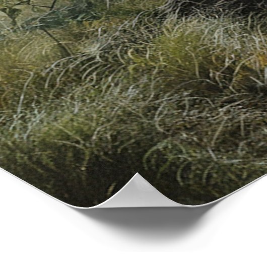 Poster Aigle 1 (Coin)