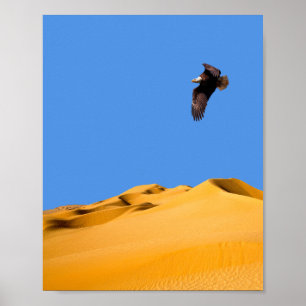 Poster Aigle à bald