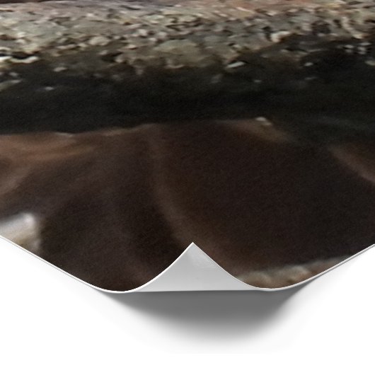 Poster Aigle à chaudes matures (Coin)