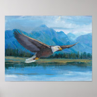 Aigle à tête blanche