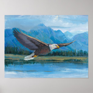 Poster Aigle à tête blanche
