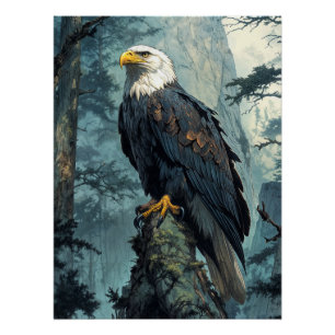 Poster Aigle à tête blanche