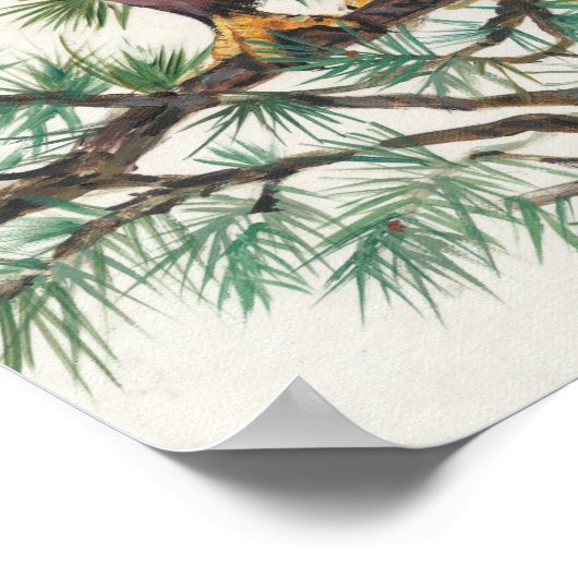 Poster Aigle à tête blanche (Coin)