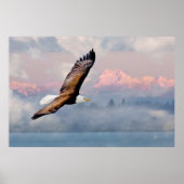 Poster Aigle à tête blanche au-dessus des monts à neige (Devant)