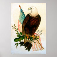 Aigle à tête blanche avec drapeau