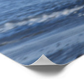 Poster aigle à tête blanche, Haliaeetus leuccocephalus en (Coin)