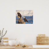 Poster aigle à tête blanche, Haliaeetus leuccocephalus, p (Cuisine)