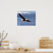 Poster aigle à tête blanche, Haliaeetus leucocephalus, en (Cuisine)