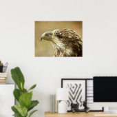 Poster Aigle à tête blanche immature (Bureau à domicile)