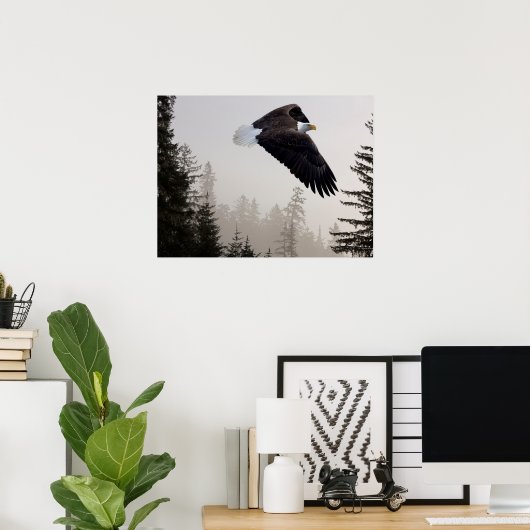 Poster Aigle à tête blanche qui s'envole à travers la fos (Bureau à domicile)