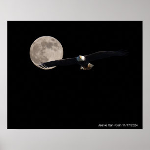 Poster Aigle à travers la lune