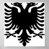 Aigle albanais