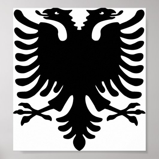 Poster Aigle albanais (Devant)