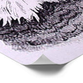 Poster Aigle américain (Coin)
