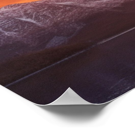 Poster aigle américain (Coin)