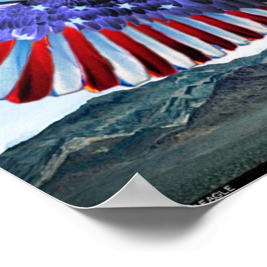 Poster aigle américain (Coin)