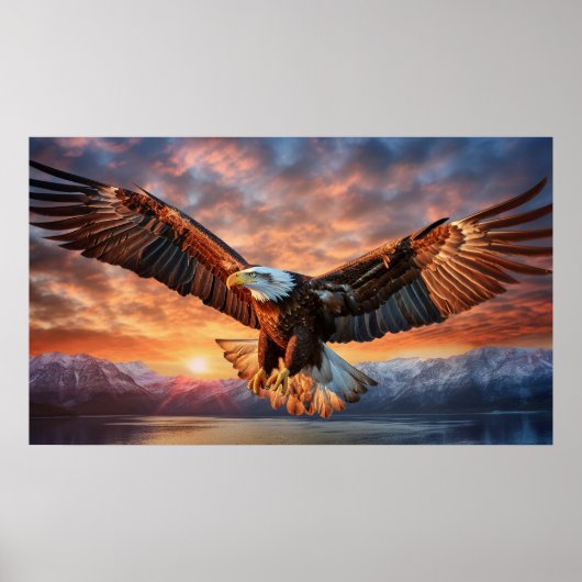 Poster aigle américain (Devant)