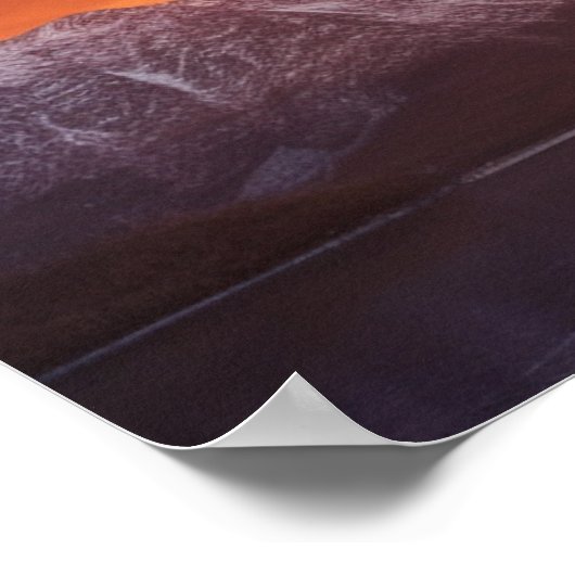 Poster aigle américain (Coin)