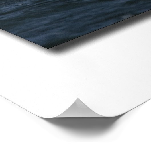 Poster aigle américain (Coin)