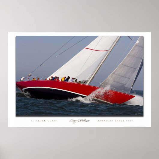 Poster aigle américain (Devant)