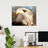 Poster Aigle américain chauve de près (Bureau à domicile)