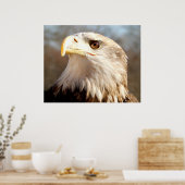 Poster Aigle américain chauve de près (Cuisine)