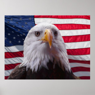 Poster aigle américain et drapeau