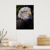 Poster Aigle américain imprimé (Cuisine)