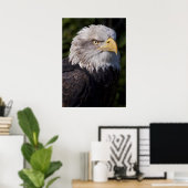 Poster Aigle américain imprimé (Bureau à domicile)