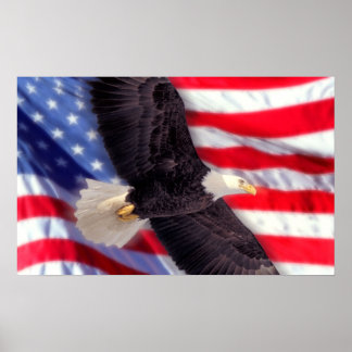 Poster Aigle américaine avec drapeau américain