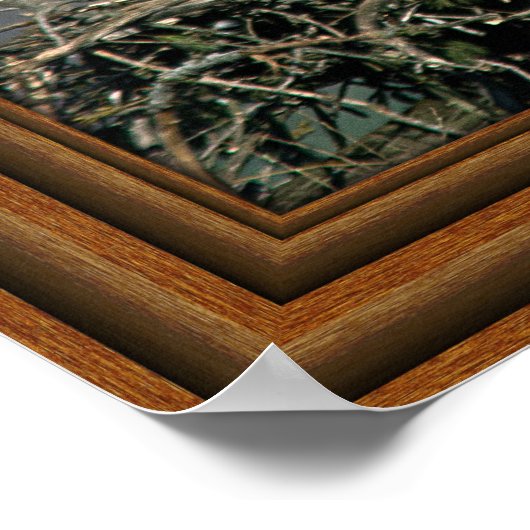 Poster Aigle Bald 'Impression encadrée' (Coin)