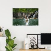 Poster Aigle Bald Le Gros Catch (Bureau à domicile)