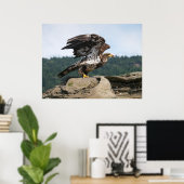 Poster Aigle Bald Prêt Pour Le Vol Beaux Art Imprimer (Bureau à domicile)